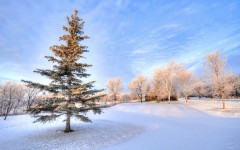 Desktop wallpaper. Nature. ID:62169
