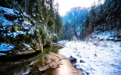 Desktop wallpaper. Nature. ID:62172