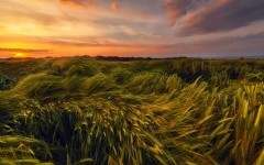 Desktop wallpaper. Nature. ID:62202