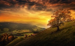 Desktop wallpaper. Nature. ID:62205
