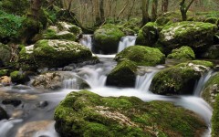Desktop wallpaper. Nature. ID:62222
