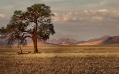 Desktop wallpaper. Nature. ID:62249