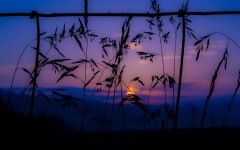 Desktop wallpaper. Nature. ID:62268