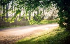 Desktop wallpaper. Nature. ID:62308
