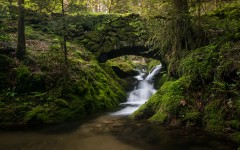 Desktop wallpaper. Nature. ID:62339