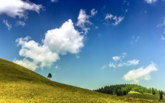 Desktop wallpaper. Nature. ID:62355