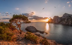 Desktop wallpaper. Nature. ID:62401