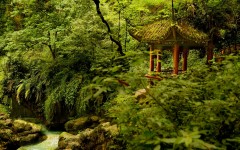 Desktop wallpaper. Nature. ID:62406
