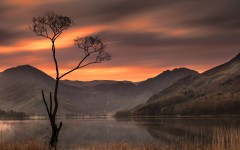 Desktop wallpaper. Nature. ID:62469