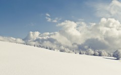 Desktop wallpaper. Nature. ID:62590