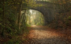Desktop wallpaper. Nature. ID:62604