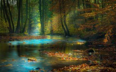 Desktop wallpaper. Nature. ID:62708