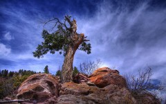 Desktop wallpaper. Nature. ID:62738