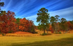 Desktop wallpaper. Nature. ID:62739