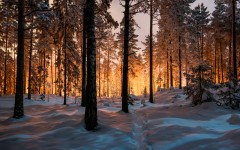 Desktop wallpaper. Nature. ID:62773