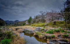 Desktop wallpaper. Nature. ID:62854
