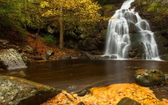 Desktop wallpaper. Nature. ID:62880