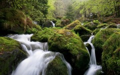 Desktop wallpaper. Nature. ID:62956