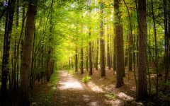 Desktop wallpaper. Nature. ID:62960