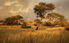 Desktop wallpaper. Nature. ID:63038