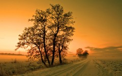 Desktop wallpaper. Nature. ID:63077