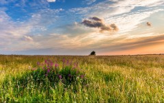 Desktop wallpaper. Nature. ID:63244