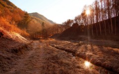 Desktop wallpaper. Nature. ID:63262