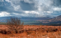 Desktop wallpaper. Nature. ID:63272