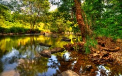 Desktop wallpaper. Nature. ID:63324