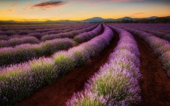 Desktop wallpaper. Nature. ID:63331