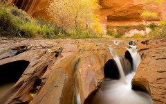 Desktop wallpaper. Nature. ID:63337