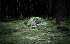 Desktop wallpaper. Nature. ID:63360