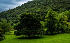 Desktop wallpaper. Nature. ID:63423