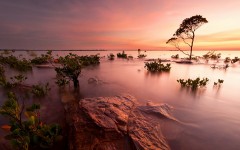 Desktop wallpaper. Nature. ID:63460