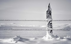 Desktop wallpaper. Nature. ID:63481