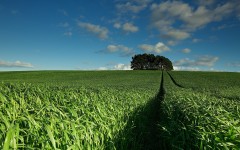 Desktop wallpaper. Nature. ID:63554