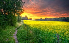 Desktop wallpaper. Nature. ID:63600