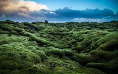 Desktop wallpaper. Nature. ID:66683