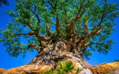 Desktop wallpaper. Nature. ID:66689