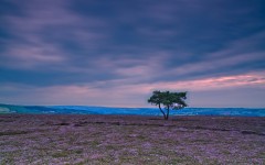 Desktop wallpaper. Nature. ID:66700