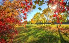 Desktop wallpaper. Nature. ID:66703