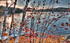 Desktop wallpaper. Nature. ID:66704