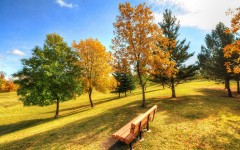 Desktop wallpaper. Nature. ID:66709