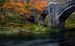 Desktop wallpaper. Nature. ID:66710