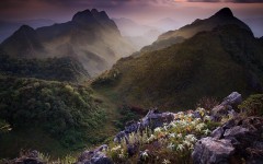 Desktop wallpaper. Nature. ID:66726