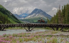 Desktop wallpaper. Nature. ID:66733