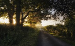 Desktop wallpaper. Nature. ID:66735