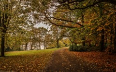 Desktop wallpaper. Nature. ID:66746