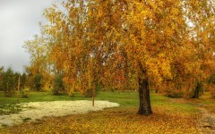 Desktop wallpaper. Nature. ID:66747