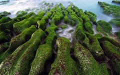 Desktop wallpaper. Nature. ID:66751